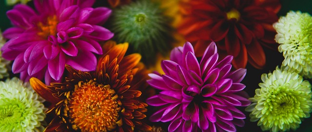 奎因连续3场20+，本届新秀中除克尼佩尔（2次）外第二人